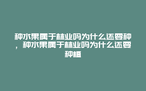 种水果属于林业吗为什么还要种，种水果属于林业吗为什么还要种植