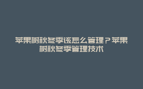 苹果树秋冬季该怎么管理？苹果树秋冬季管理技术