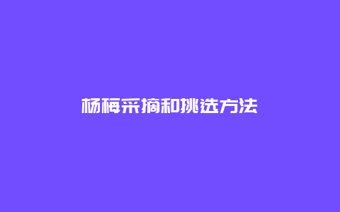 杨梅采摘和挑选方法