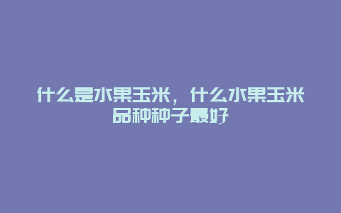 什么是水果玉米，什么水果玉米品种种子最好