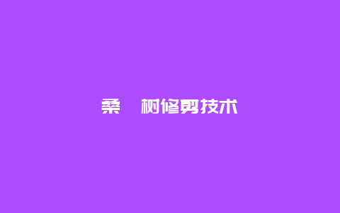 桑葚树修剪技术