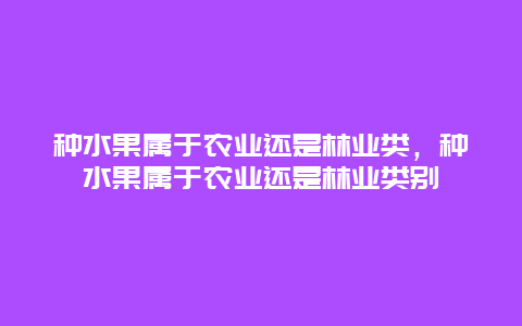 种水果属于农业还是林业类，种水果属于农业还是林业类别