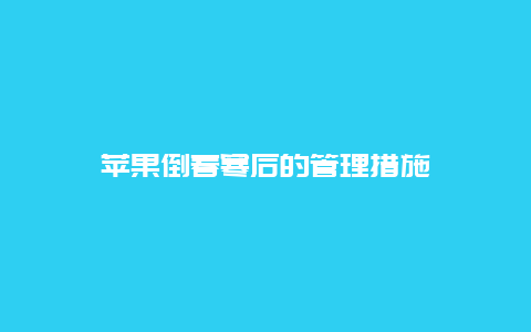 苹果倒春寒后的管理措施