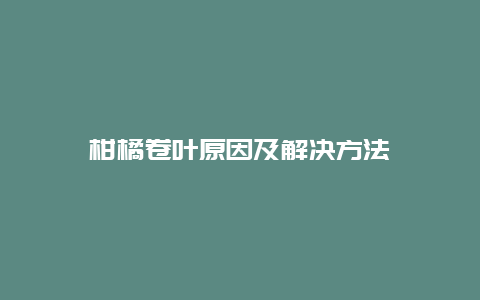 柑橘卷叶原因及解决方法