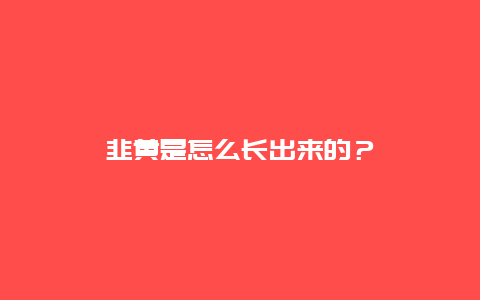 韭黄是怎么长出来的？