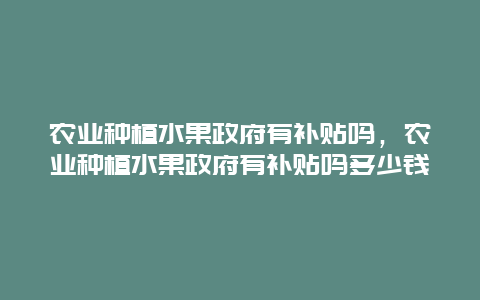 农业种植水果政府有补贴吗，农业种植水果政府有补贴吗多少钱