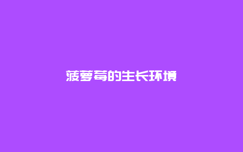 菠萝莓的生长环境