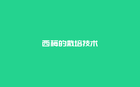 西梅的栽培技术