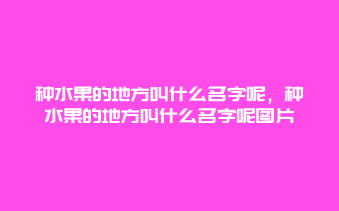 种水果的地方叫什么名字呢，种水果的地方叫什么名字呢图片