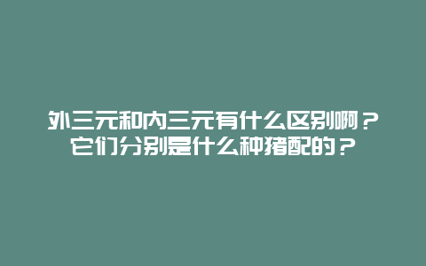 外三元和内三元有什么区别啊？它们分别是什么种猪配的？