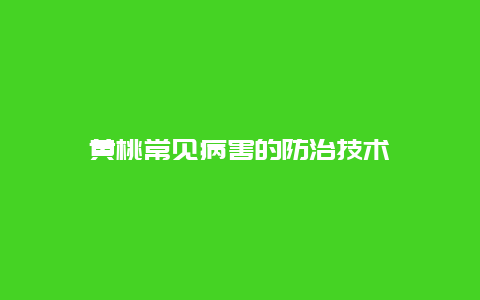 黄桃常见病害的防治技术