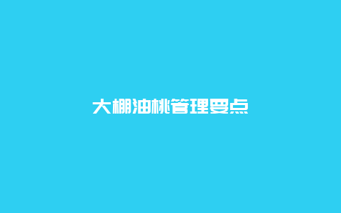 大棚油桃管理要点