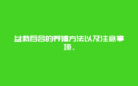 盆栽百合的养殖方法以及注意事项。