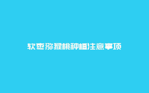 软枣猕猴桃种植注意事项