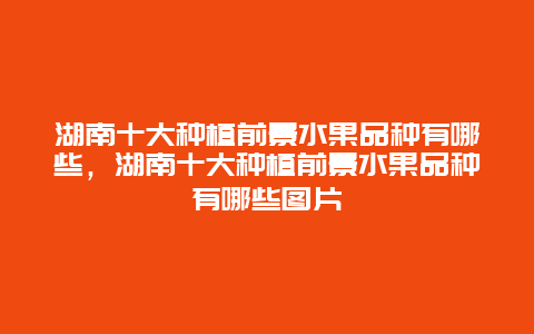 湖南十大种植前景水果品种有哪些，湖南十大种植前景水果品种有哪些图片