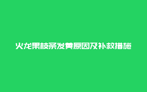 火龙果枝条发黄原因及补救措施