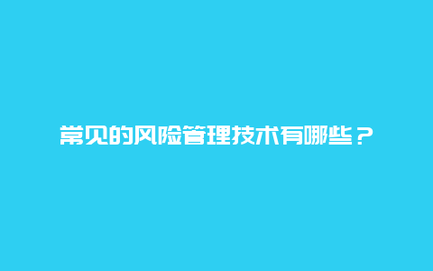 常见的风险管理技术有哪些？