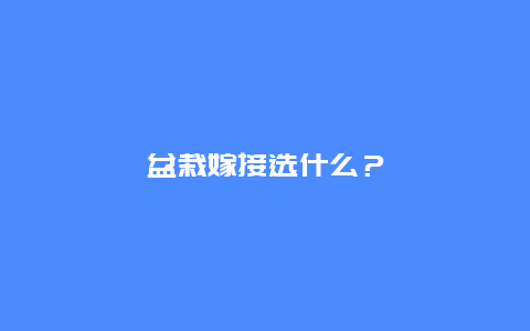 盆栽嫁接选什么？