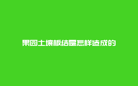 果园土壤板结是怎样造成的