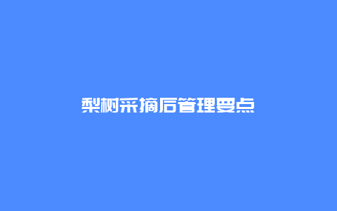 梨树采摘后管理要点