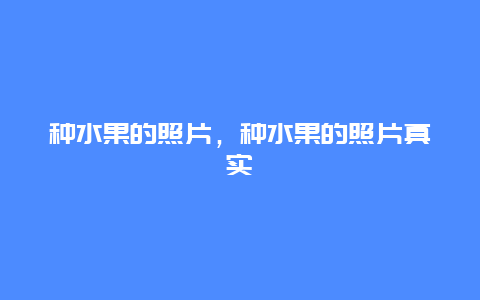 种水果的照片，种水果的照片真实