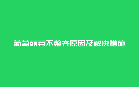 葡萄萌芽不整齐原因及解决措施