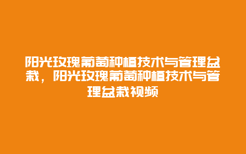 阳光玫瑰葡萄种植技术与管理盆栽，阳光玫瑰葡萄种植技术与管理盆栽视频