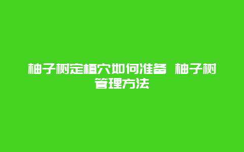 柚子树定植穴如何准备 柚子树管理方法