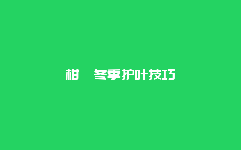 柑桔冬季护叶技巧