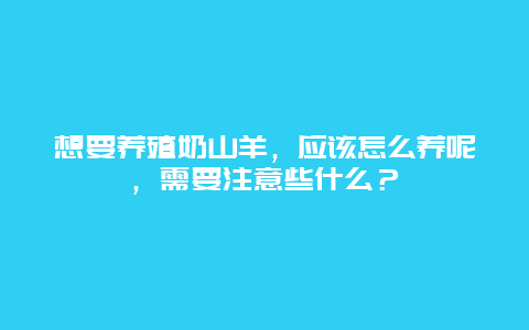 想要养殖奶山羊，应该怎么养呢，需要注意些什么？