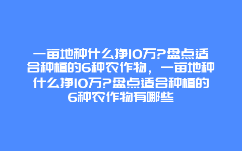 一亩地种什么挣10万?盘点适合种植的6种农作物，一亩地种什么挣10万?盘点适合种植的6种农作物有哪些