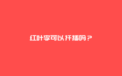 红叶李可以扦插吗？