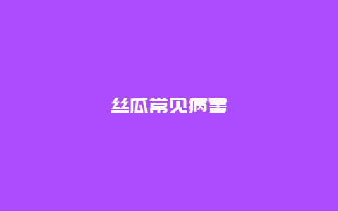 丝瓜常见病害