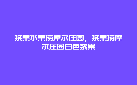 浆果水果捞摩尔庄园，浆果捞摩尔庄园白色浆果