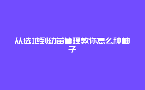 从选地到幼苗管理教你怎么种柚子