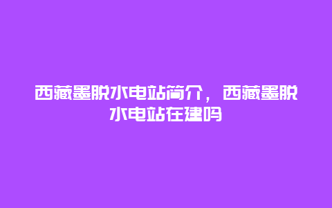 西藏墨脱水电站简介，西藏墨脱水电站在建吗