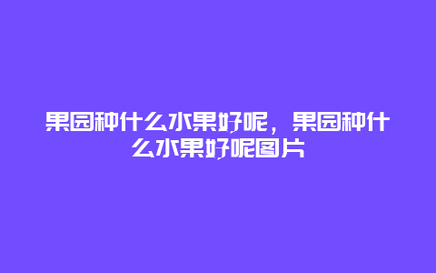 果园种什么水果好呢，果园种什么水果好呢图片