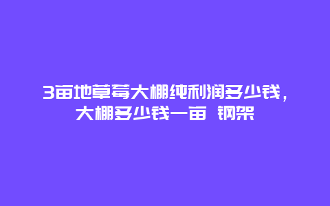 3亩地草莓大棚纯利润多少钱，大棚多少钱一亩 钢架