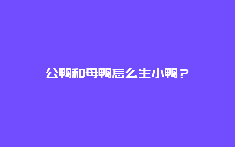 公鸭和母鸭怎么生小鸭？