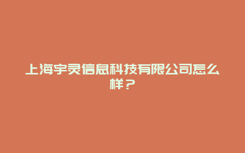 上海宇灵信息科技有限公司怎么样？