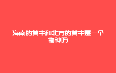 海南的黄牛和北方的黄牛是一个物种吗