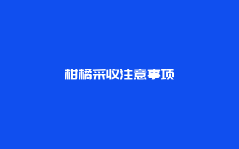 柑橘采收注意事项