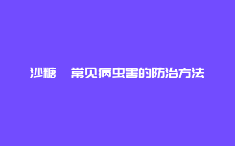 沙糖桔常见病虫害的防治方法