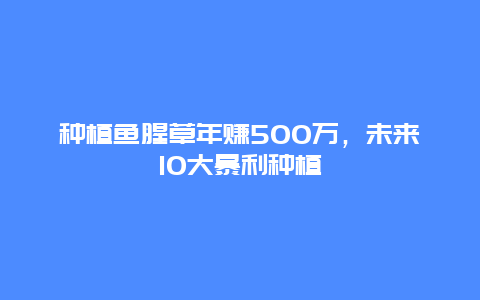 种植鱼腥草年赚500万，未来10大暴利种植