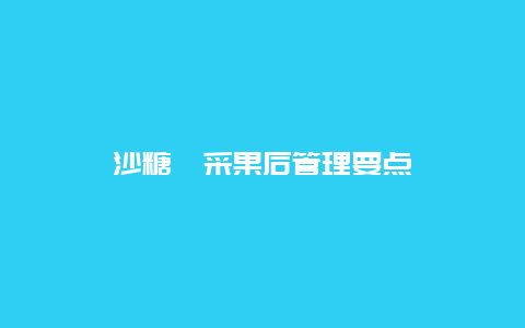 沙糖桔采果后管理要点