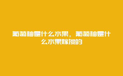 葡萄柚是什么水果，葡萄柚是什么水果嫁接的