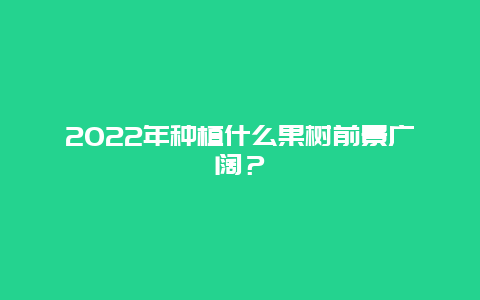 2022年种植什么果树前景广阔？