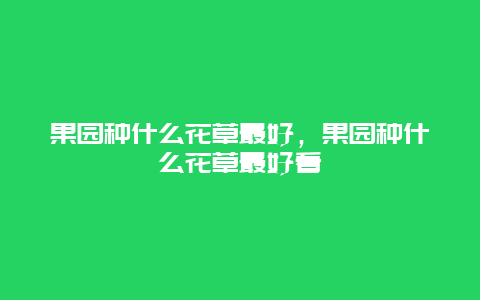 果园种什么花草最好，果园种什么花草最好看