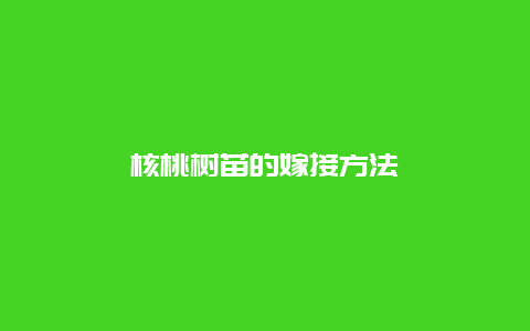 核桃树苗的嫁接方法