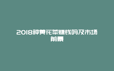 2018种黄花菜赚钱吗及市场前景